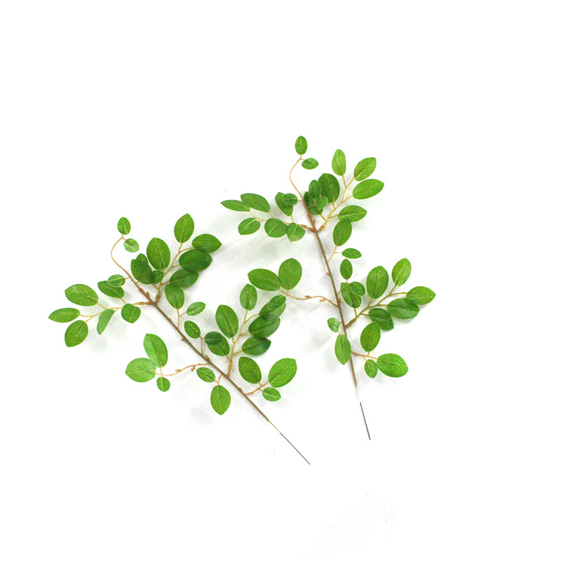 XRB-254 檵木叶单枝33叶0 (9).jpg