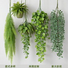 �羳����ާ�ֲ��ڒ첨˹ާ��c�ưɠ����b���Ĵ����پGֲ����