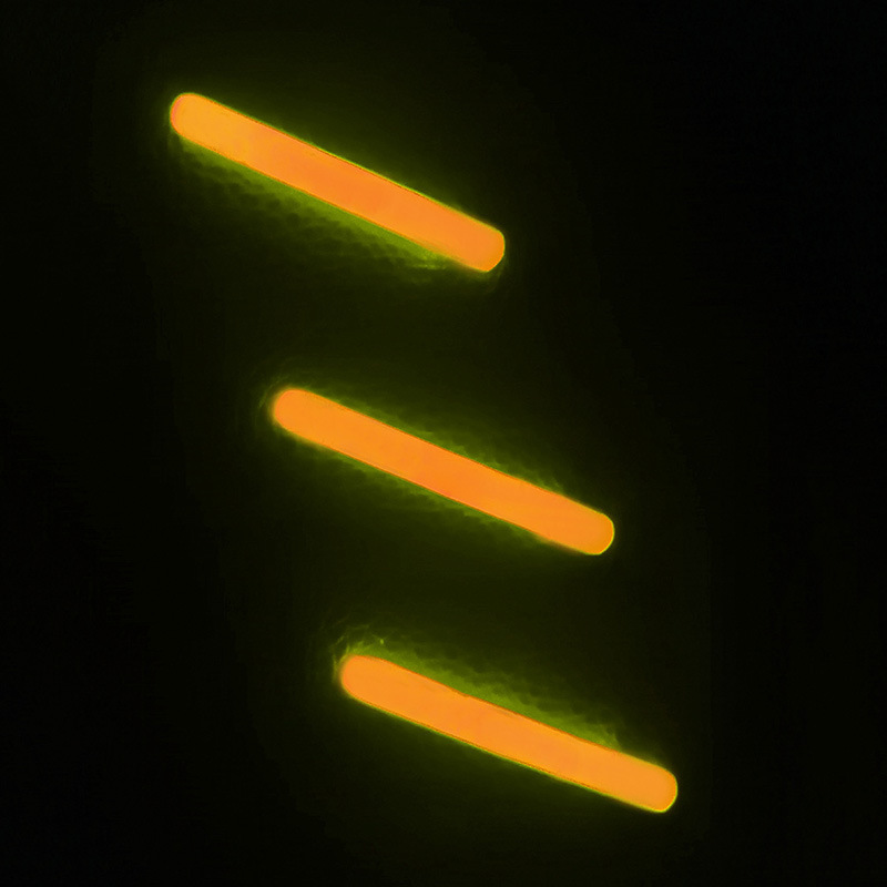 11352223236_1865695234