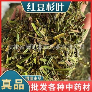 �t��ɼ�~��ș�� �t������ �Ϸ��t��ɼ�~�� ��ɼ���~ �a��؛Դ