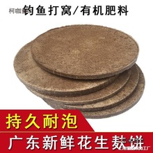 ����C��Ұ឴�C��5����~�D�������ɉK��۠�Ƭ���ЙC��̫��