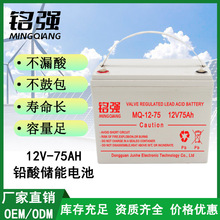 12V75AHSo늳ػվֱEPS/ UPSԴUღ늳