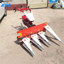 ����ʽ�߲˸��C���׽ն�С���ո�Cˮ�������������חU�����C