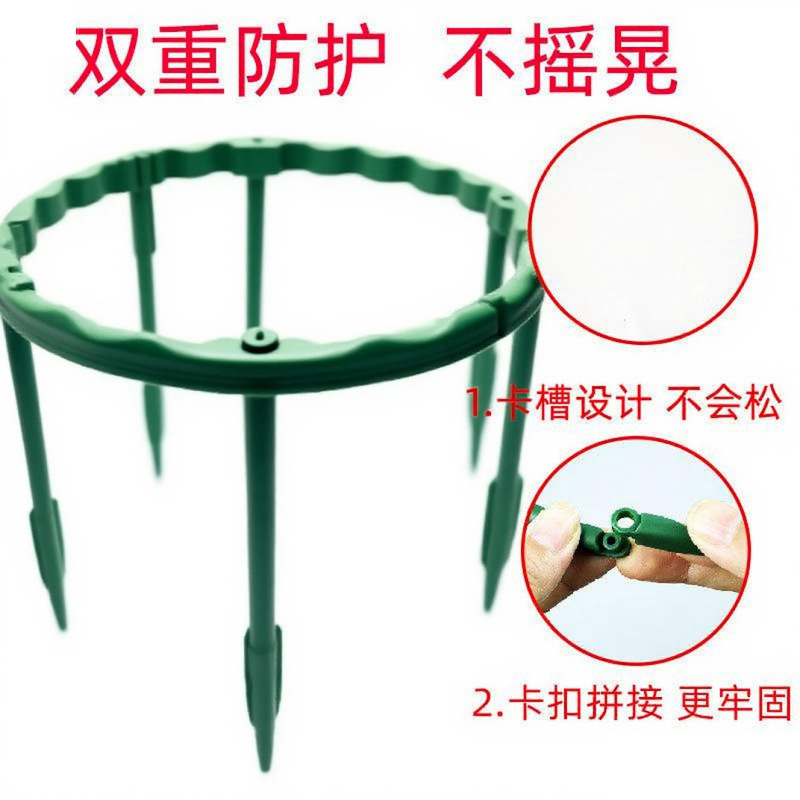 蟹爪兰支架多层双层园艺花架植物爬藤架子兰花绿萝防倒护叶支撑架|undefined
