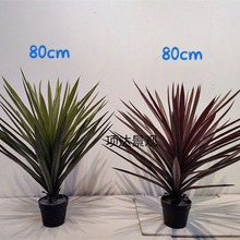 ���愦�鄦�m����Ꭷֲ��@��ɳĮ�Gֲ���ԾƵ�����ɭϵ�b[��