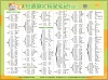 Fixed phrases with two