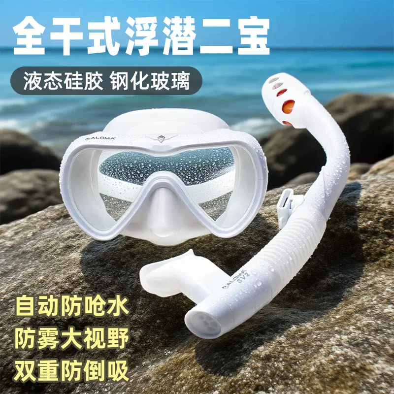ALOMA成人单镜片全干式防水浮潜二宝浮潜水镜面镜面罩呼吸管套装