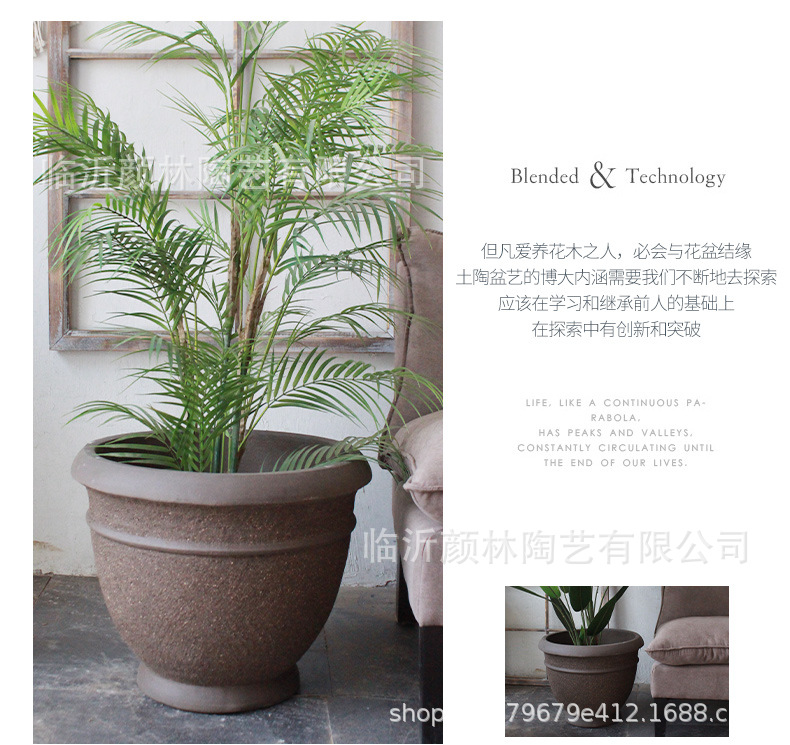 铁树花盆详情_03.jpg