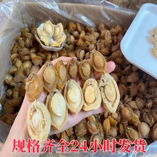 ���B���U�~ �F؛���l200�^����ʳ�ęn�ڬF؛�U�~��؛���B�U��ƿ�b