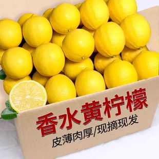���ڏV�|��ˮ�S�������rˮ��Ƥ������������ˮ���ʮ������rˮ��