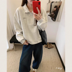 019 慵懒风拉链立领卫衣女秋季新款刺绣字母韩版oversize女式上衣