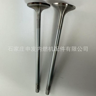 22302, exhaust valve – Valves and components
