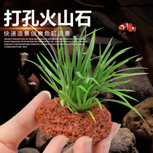 �~��ˮ��ֲ�����ˮ������bG����ԃ�ˮ��ɽʯ����С���B�쾰