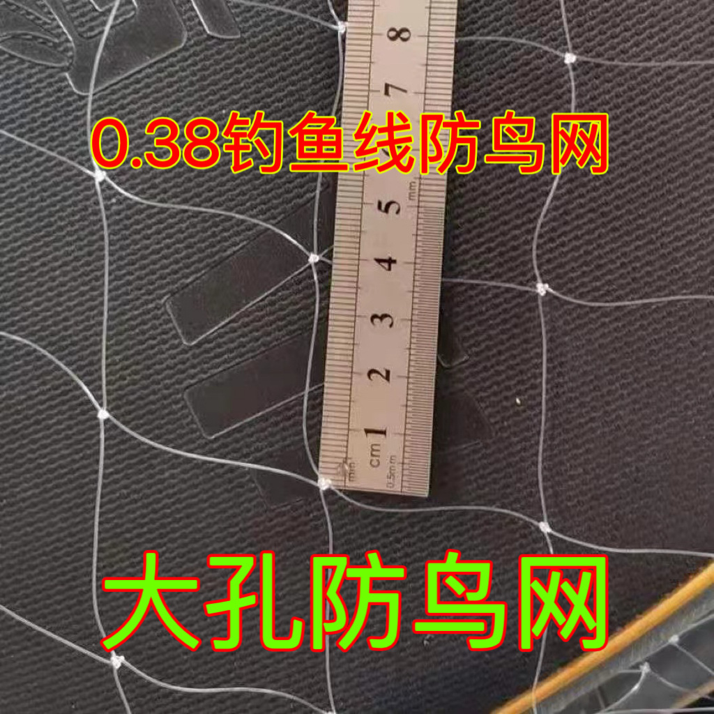 新款果园防鸟网果树樱桃葡萄农田鱼塘养殖稻谷大棚尼龙防鸟网