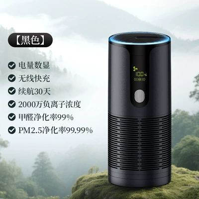 Formaldehyde and Remove Odor, Hava təmizləyiciləri - quiet-black-air-suction-negative-ion-purifier-ocean