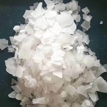 lѩľRֱNѩڄ·ѩڱƬwI}