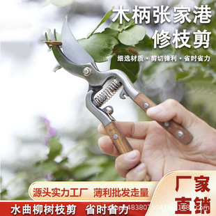 ˮ����ľ����֦����ˇ�@�ֹ����޼���֦�޻�������ˇʡ����֦����