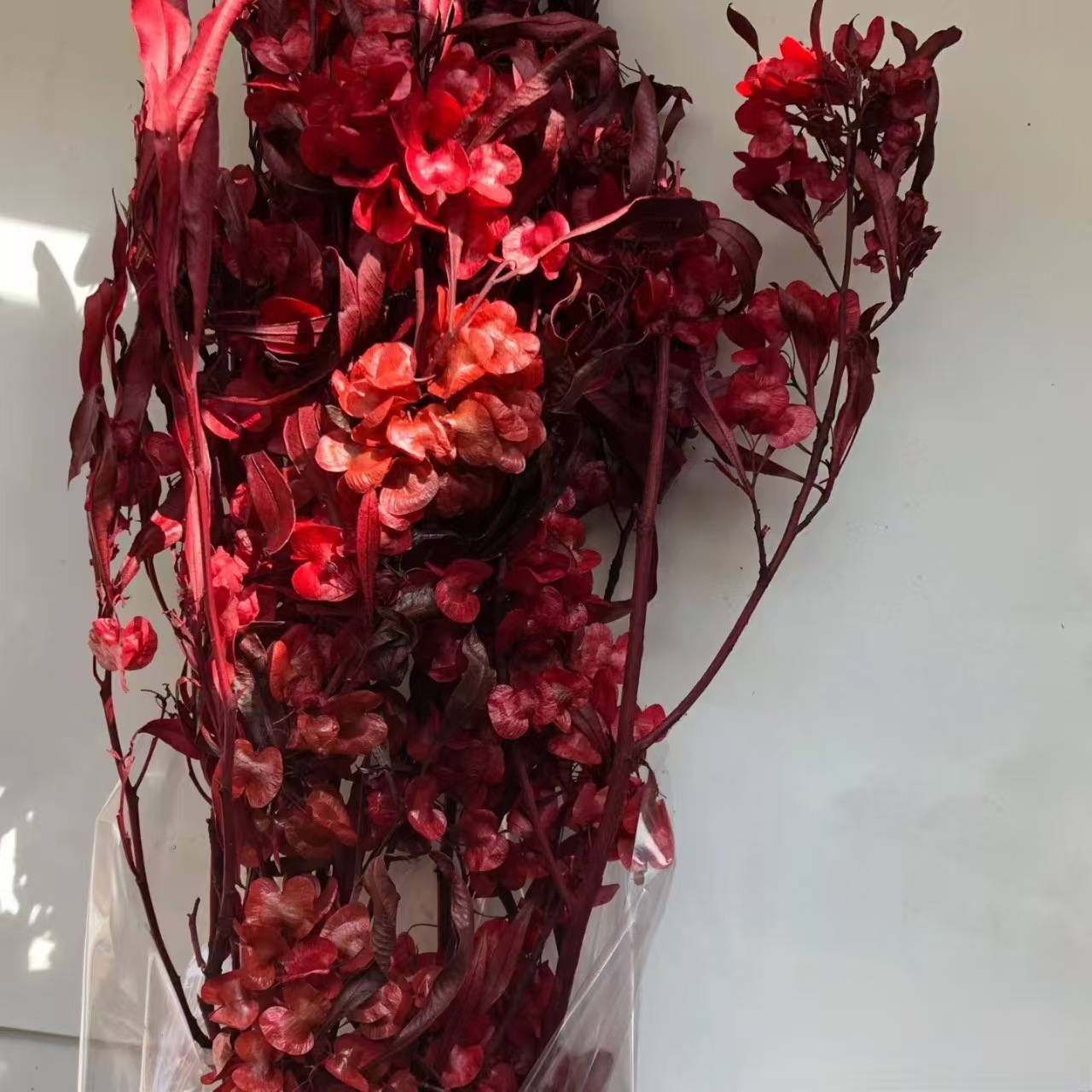Flores de inmortalidad rojas decoración de boda flores secas de Año Nuevo para dar la bienvenida a los huéspedes frijoles de dragón grasa colgando arroz al por mayor