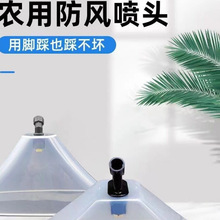 �r��늄Ӈ��F��͸�����L�և��^������݄���ș���F�����Ύ��և��^