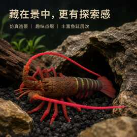 厂家直供鱼缸造景仿真澳洲龙虾动物模型摆件假鱼水族装饰用品