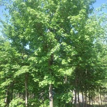 С�^�Ľ��L������~�����Ǘ�8--10���֗����е���С�^�G������