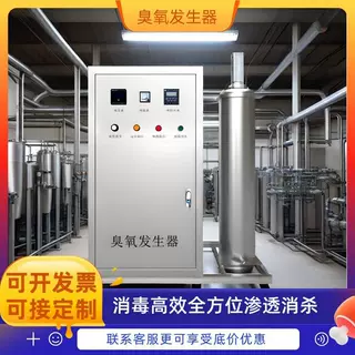 臭氧发生器100g水处理杀菌设备水厂养殖食品厂冷库空间杀菌除异味
