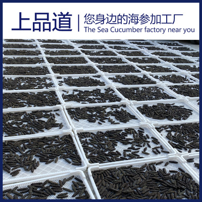 【海参工厂】淡干海参批发辽刺参非干货厂家直供一件代发一斤