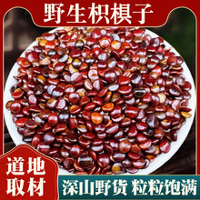 ����Ұ���ח�����ș�Ĺ՗��Ѹ𻨸���ח��Ӳ��uצ��������ӷ۾�