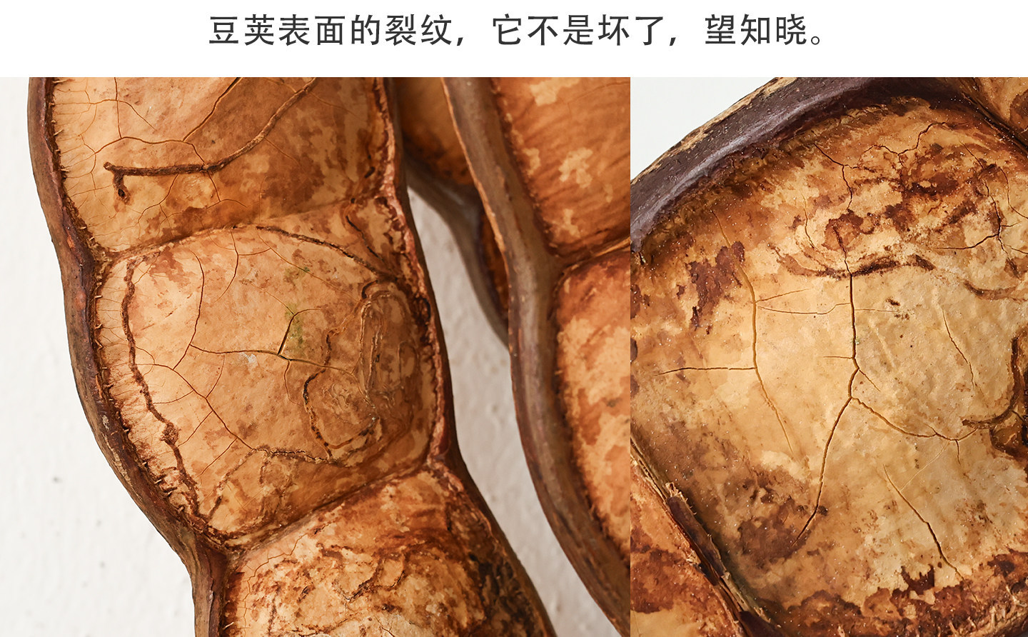 详情页2.jpg