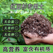 �t��ɼ�������������ԾGֲͨ�àI�B���B���p�|�����ЙC���������