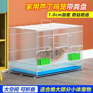 �u�\���ô�̖�Bֳ�\�p�g���������r�u�g�����ӵȌ����ۯB���ٻ\��