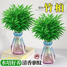 ��������ˮ��ֲ���҃ȿ͏d�k���ҾGֲ��������ˮ���ļ����B��