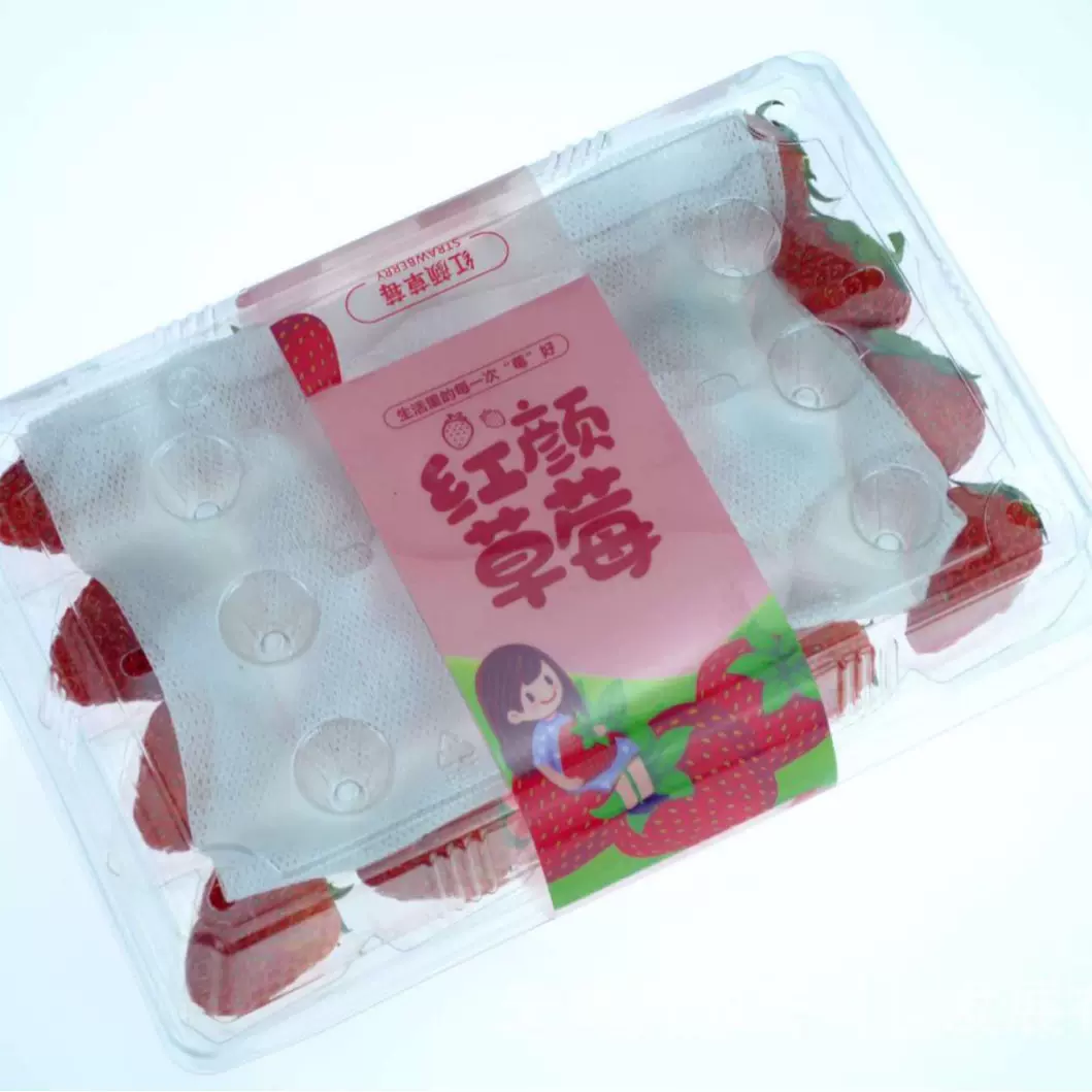 草莓包装吸水纸无纺布吸潮缓震保护果品延长保鲜期厂家