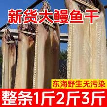 新货特大海鳗干淡晒整条宁波舟山鳗鲞大海鳗鱼干半干东海本地风鳗