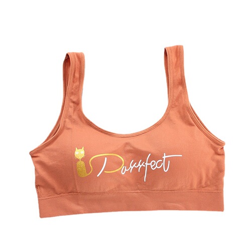 Fashionable Breast Wrapped Lettering Beautiful Back Sports Bra Underwear Women's Sexy Suspender Tube Top Yoga Vest Women's Wholesale