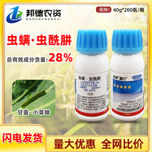 ��������28%�x�\���x���¹��仨���߲����С�˶����x���x���x��