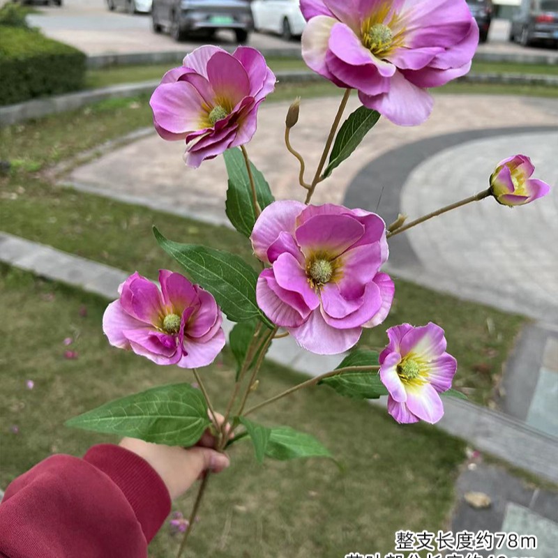 6-Cabeza de mariposa de la flor de luz púrpura rojo