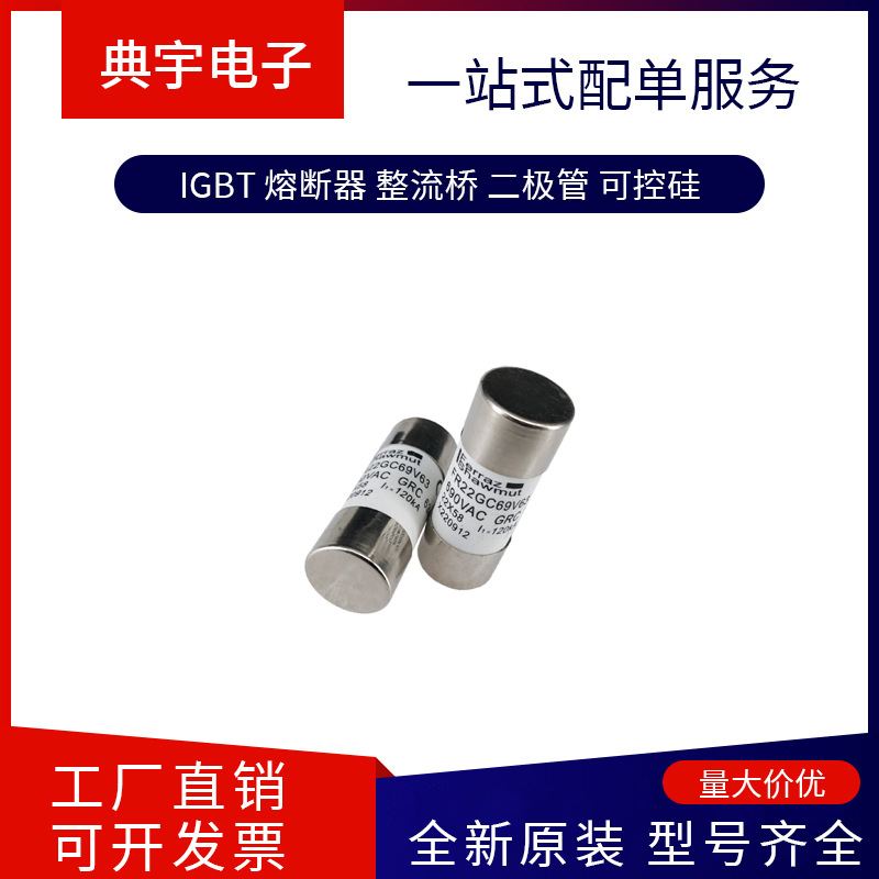 法国熔断器D73GB60V315TF P302095 D73GB60V400TF Q302096