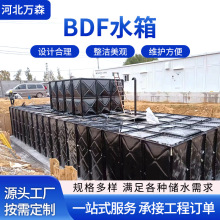 BDF����ˮ��M��ʽ���һ�w����\ˮ������ˮ�÷�SW��Ʒ����ˮ��