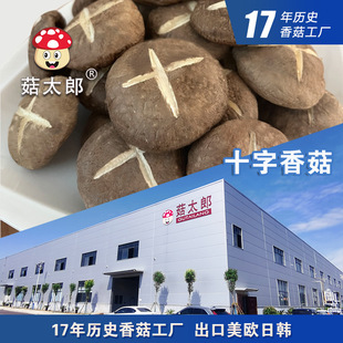 �㹽��؛�㹽�ɶ���ʮ���㹽��׵�׶����������ڻ��؂䰸