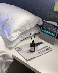 Fireless Aroma Diffuser Essential Oil Reed Diffuser Ornament Fragrance Home Interior Hotel Air Freshener