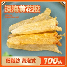 �n���S��Ͳ100�^���� �����S���z���l�Ƶꌣ�� ��ζ�~�z��؛���z