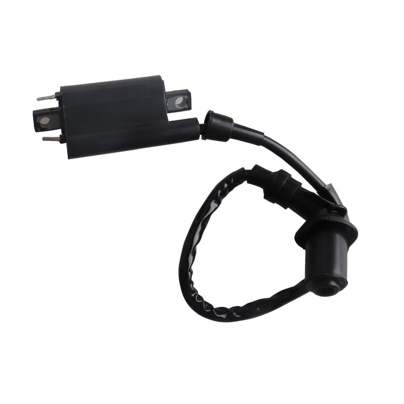 Aplicable a V-Star250/xv125/xv250/virago route66 Yamaha motocicleta bobina de encendido