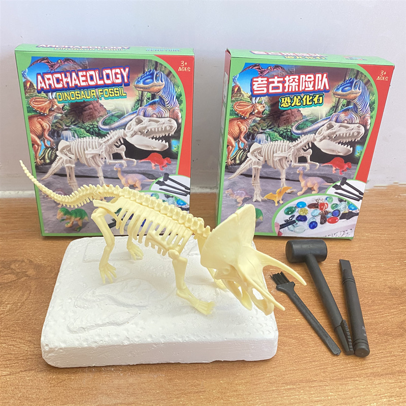 컬러 박스-트리케라톱스 해골 + 도구