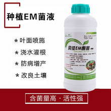 养殖专用EM菌饲料营养添加畜禽养殖em菌水产养殖净水拌料EM菌原菌