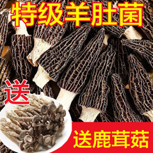 ��ϸ�ɽ��Ǿ���؛�Ҝ�ʳ�ğo���r����؛����Ģ���㹽��Ǿ����l