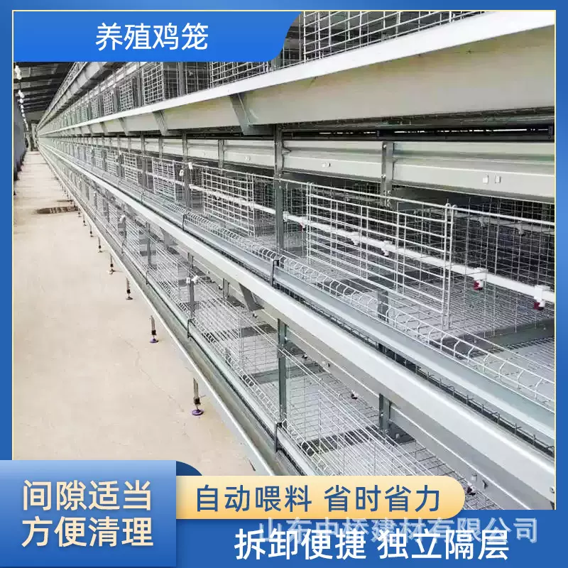 层叠式框架肉鸡笼全自动半自动立体镀锌鸡舍家用养殖捡蛋清粪设备