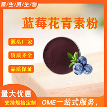 蓝莓花青素粉40% 蓝莓提取物食品级 花色苷固体饮料原料 原花青素