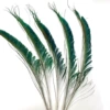 30-35cm Zuo Ling true color