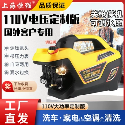 copper motor high pressure cleaning and: Portable car washer